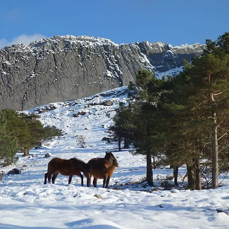Vakantiehuis La Casina De *