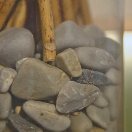 Casa de Férias La Casina De