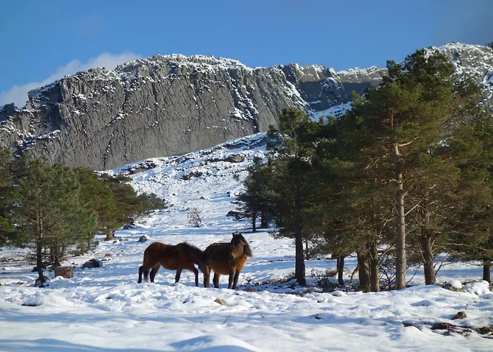 Сasa de vacaciones La Casina De *